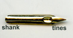 shank and tines of a cito fein dip pen nib